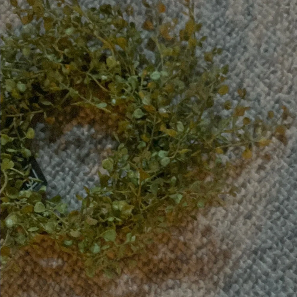 Green Eucalyptus Artificial Wreath